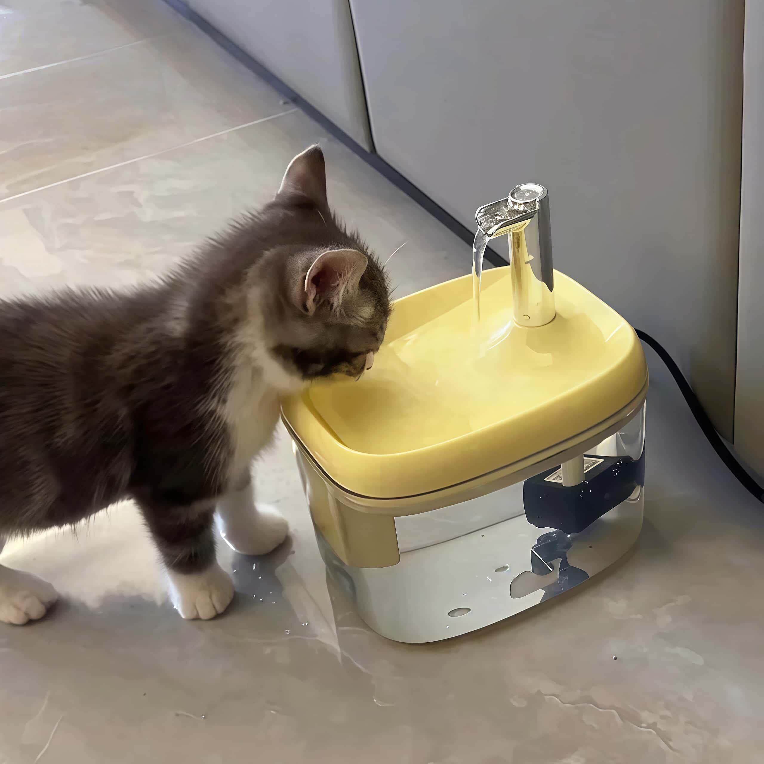 小户型狂喜!猫咪饮水机自动循环流动猫猫喝水器狗狗饮水盆喂水