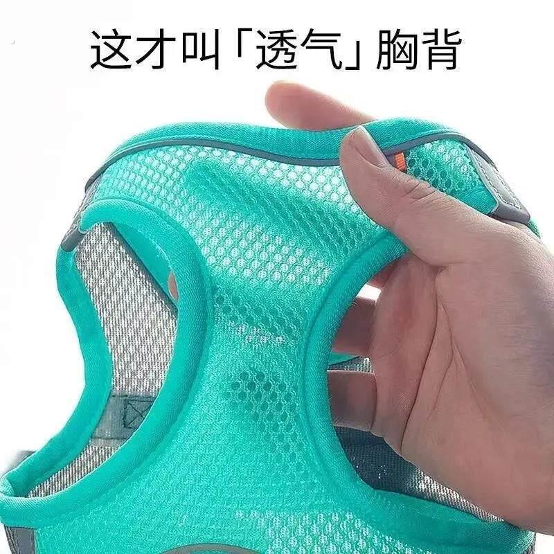 小体犬幼犬专用牵引绳超小体约克夏胸背茶杯犬1斤狗绳小鹿犬狗狗