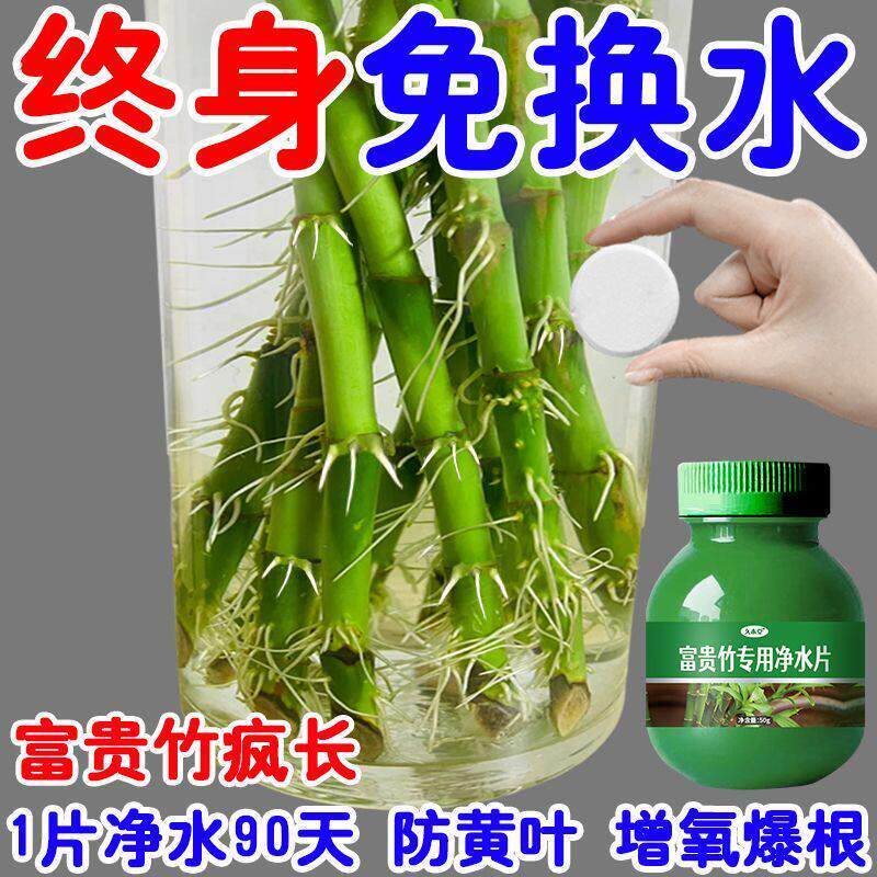 富贵竹专用净水片水培植物净水片防水发臭叶子黄黄叶促生根保鲜片