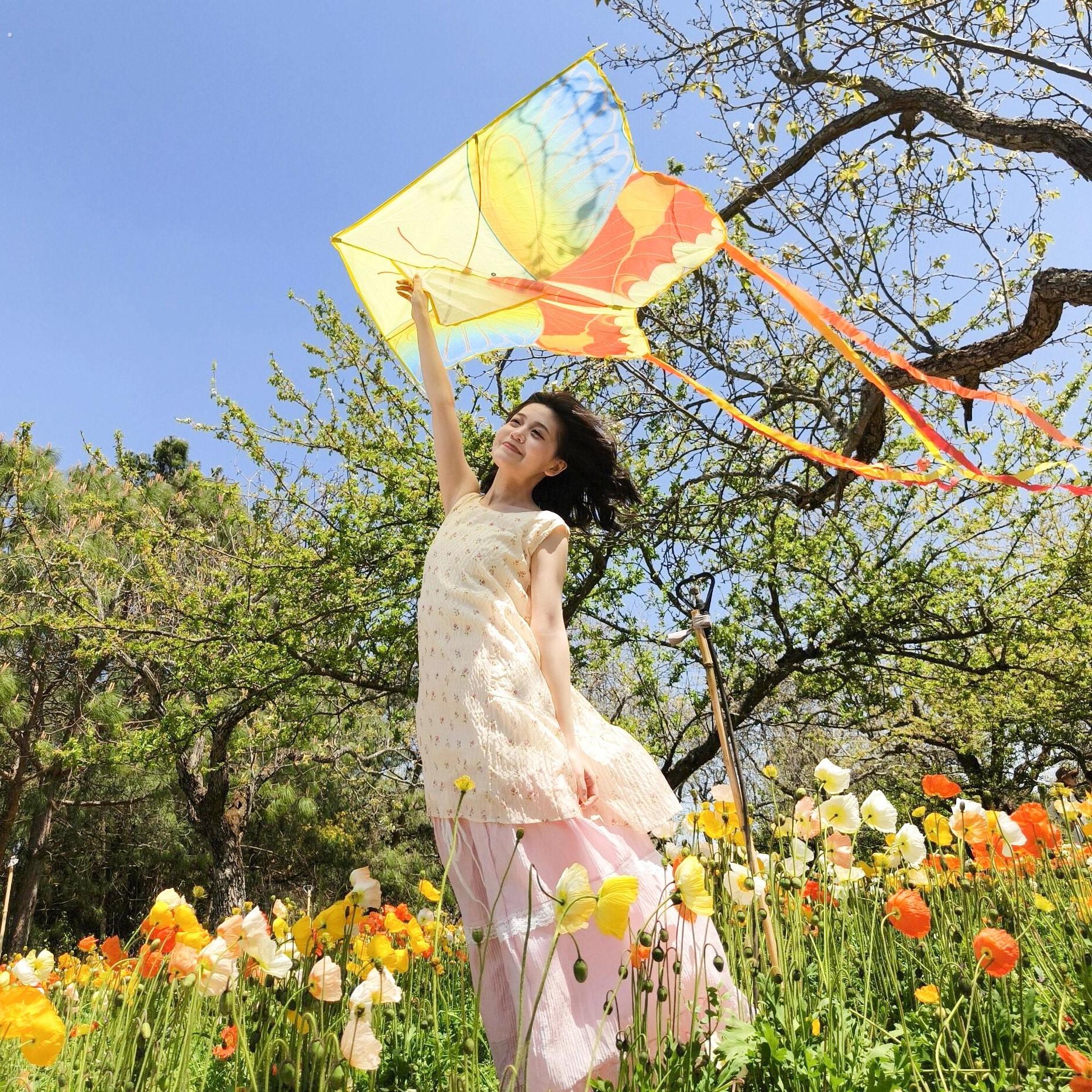 蝴蝶风筝大人专用手持拍照道具2026潍坊微风易飞风筝春日出片神器