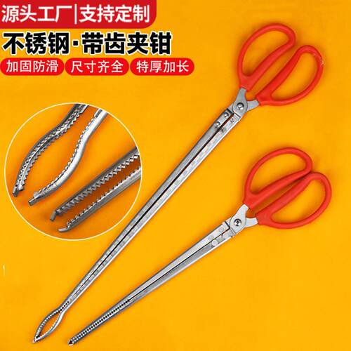 赶海神器工具黄鳝夹子鱼钳子