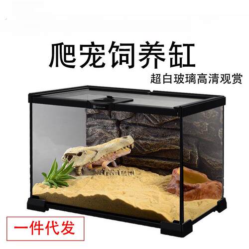 玻璃爬缸蜥蜴守宫蛇寄居蟹陆龟爬宠爬虫角蛙饲养箱盒