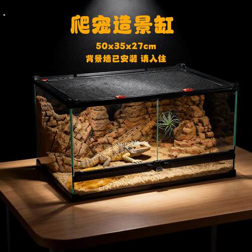 爬宠造景缸背景板套装睫角守宫饲养箱蜥蜴蛇角蛙树蛙雨林缸50527