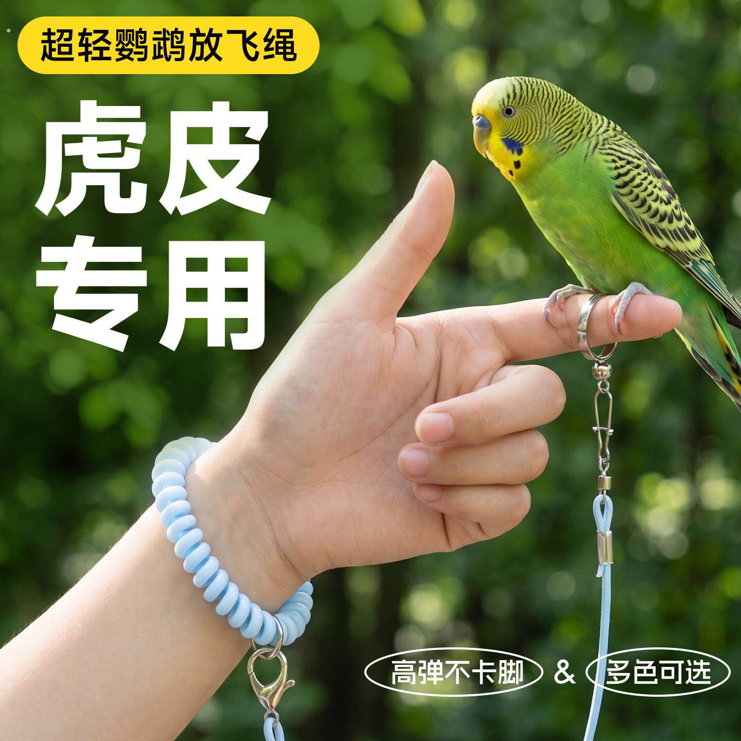 虎皮鹦鹉放飞绳不伤脚脚环牵引绳遛鸟神器小鸟超轻牵鸟弹力绳脚链