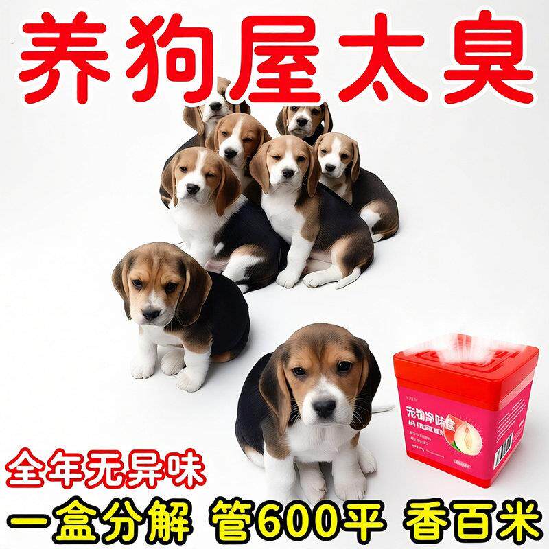 宠物除味魔盒除臭室内去味狗猫去尿骚味宠物异味用品