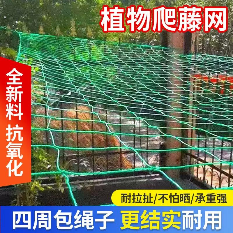 植物爬藤网豆角黄瓜丝瓜吊瓜葡萄苦瓜月季百香果种植网攀爬搭架网