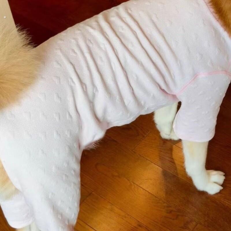 狗衣服四脚新款通用阿拉耐磨秋季可爱空调睡衣护肚萨摩薄款萨摩耶