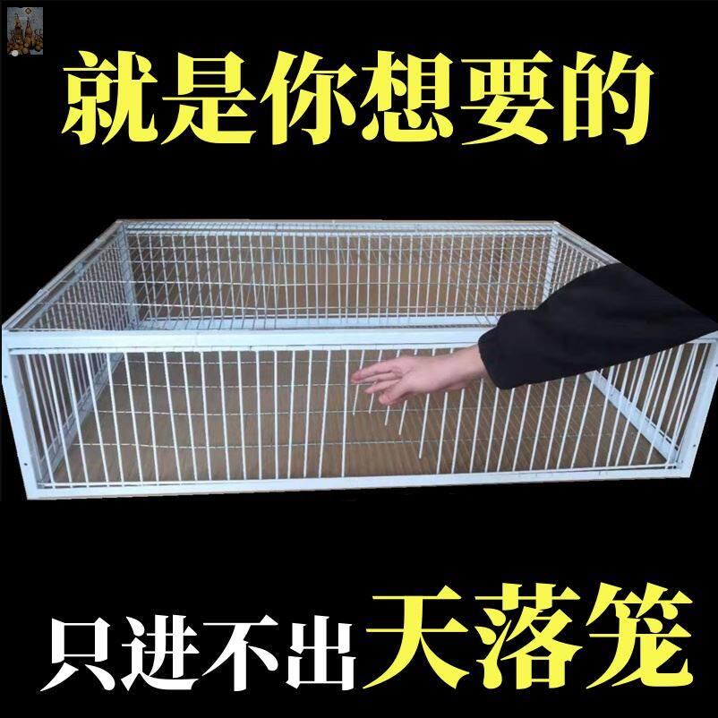 天落笼捕捉神器祇进不出鸟室外鸽子笼加厚加密全自动收活络撞门图片
