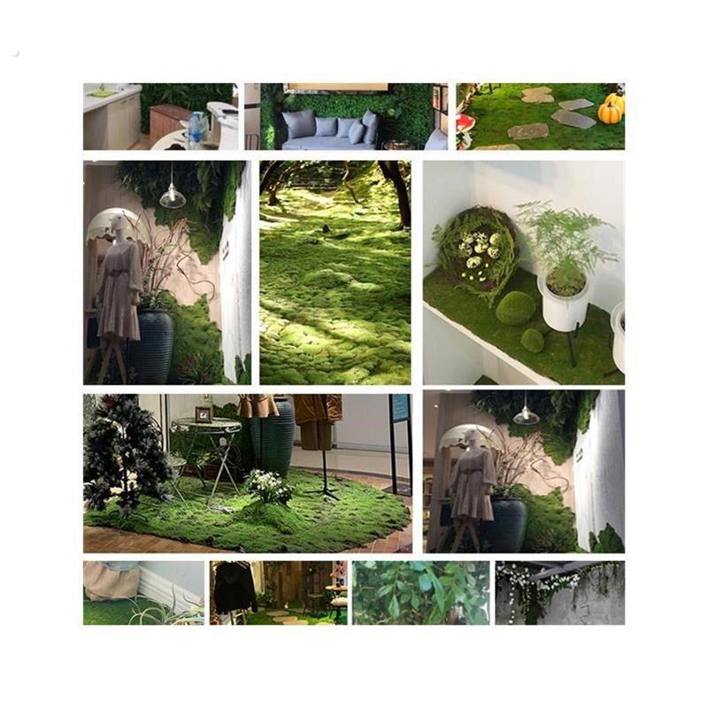 彷真青苔草坪苔藓 植毛石皮 青苔石长草 绿色植物墙背景装饰造。