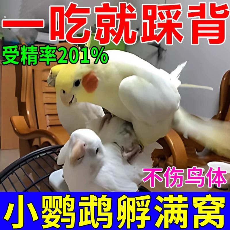 鹦鹉下蛋饲料虎皮鹦鹅繁殖期专用催蛋神器玄凤促发情踩背交配粮食