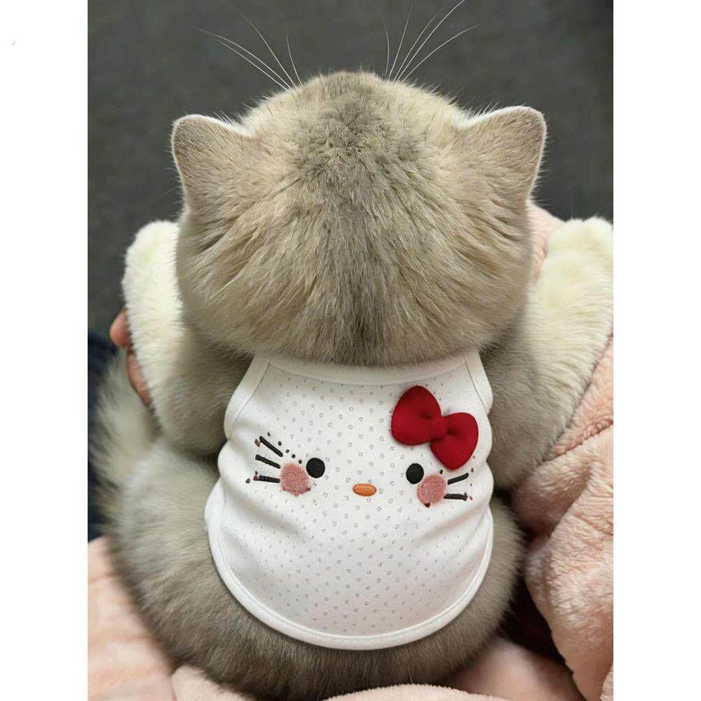 猫咪衣服防掉毛夏季薄款透气网眼蝴蝶结背心无袖吊带狗狗凉凉衣