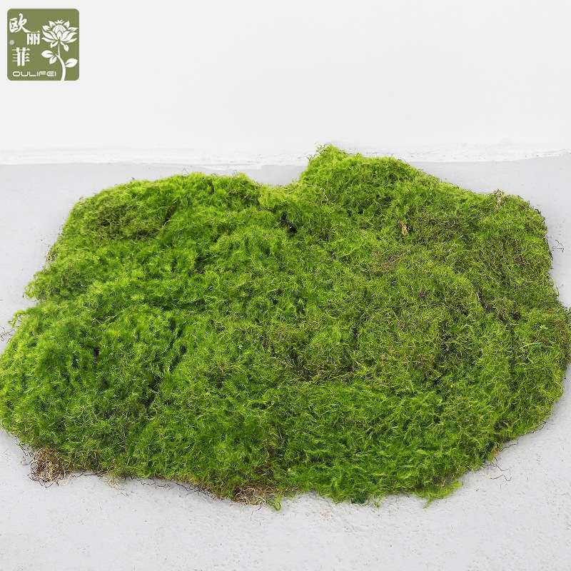 仿真植物草坪苔藓 室内景观摆件装饰植物墙仿生 仿真青苔造景