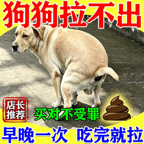 狗狗便秘排便困难调理肠胃呕吐腹泻润滑肠道猫狗便秘促排便益生菌