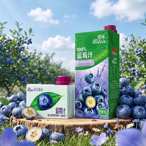 碧林100%浓缩蓝莓果汁盒装多瓶装
