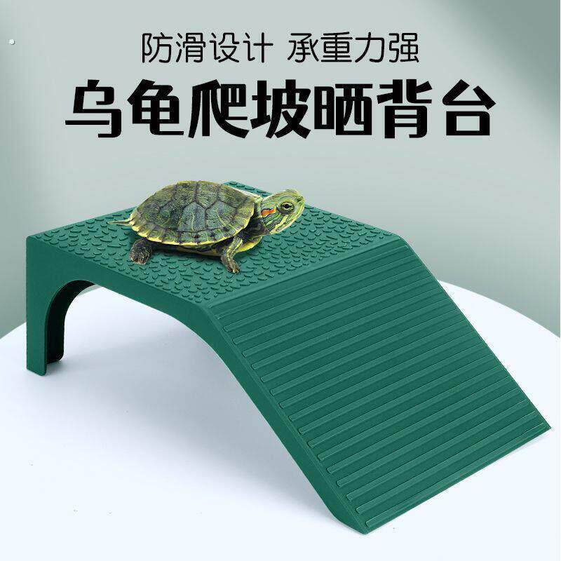 乌龟楼梯乌龟晒背台浅水龟缸爬坡巴西龟草龟半水龟爬台休息躲避水