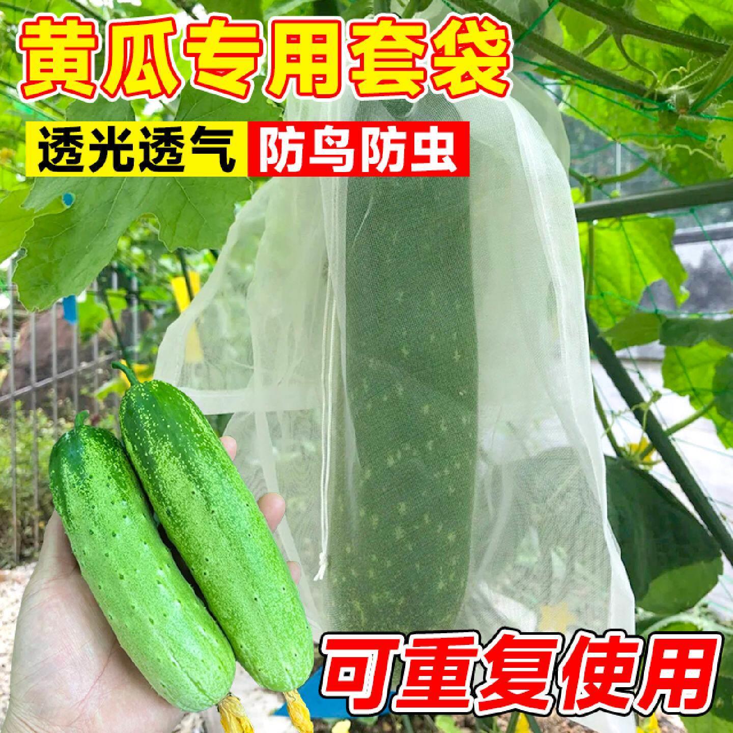 黄瓜套袋果袋防虫防鸟葡萄专用袋苦瓜尼龙网纱网套袋神器透气透光