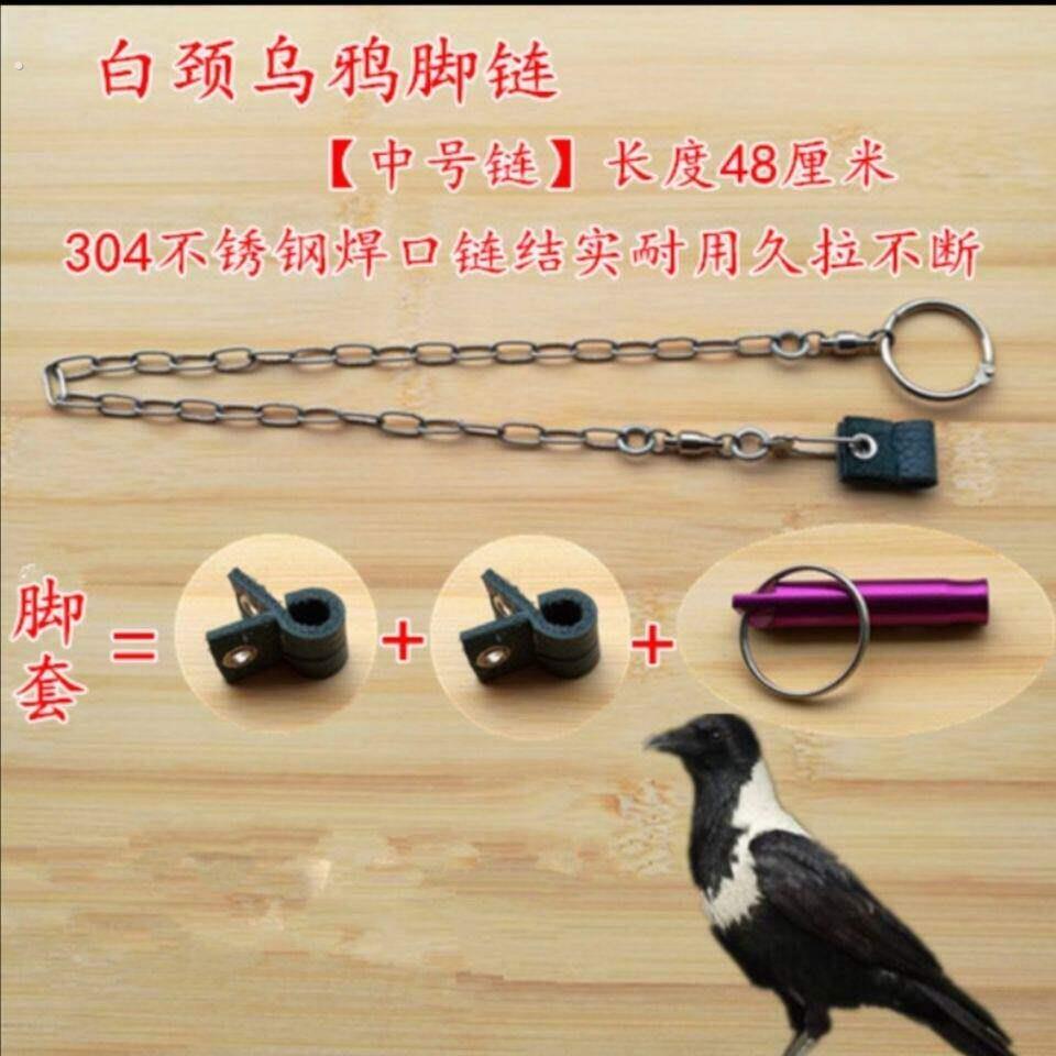 白颈乌鸦脚环/鸟用脚链脚环/皮脚套脚绊子护腿站架训鸟用品鸟具