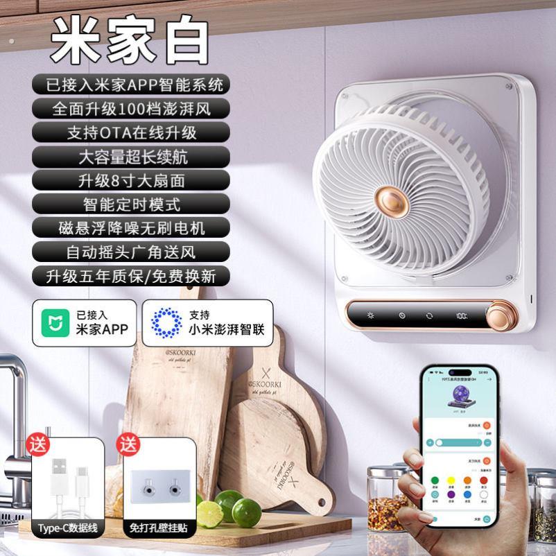 挂在墙上的电风扇静音壁挂循环扇免打孔厨房办公室挂立两用风扇