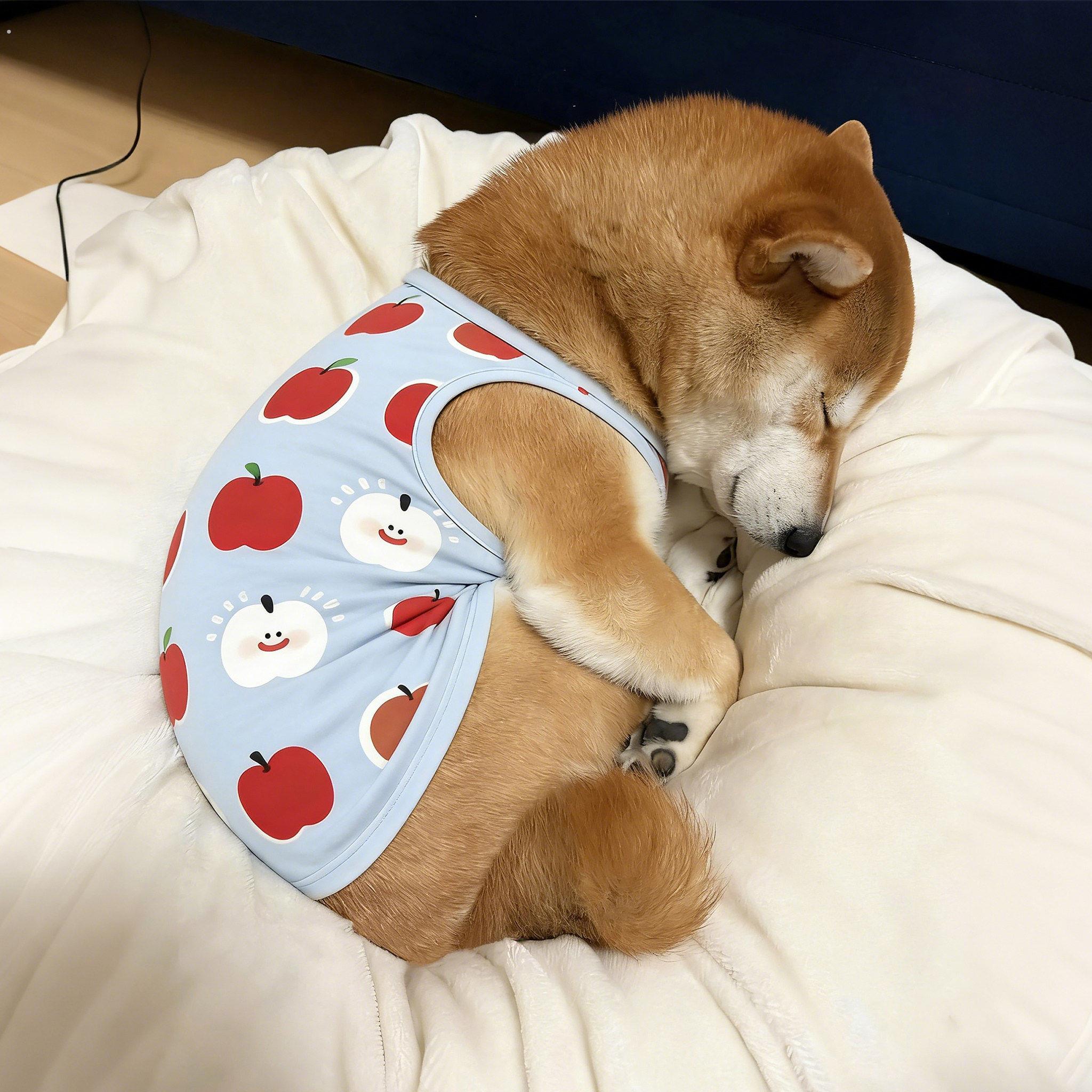 狗狗衣服中小型犬薄款小背心柴犬柯基春夏季防脏防掉毛浅蓝两脚衣