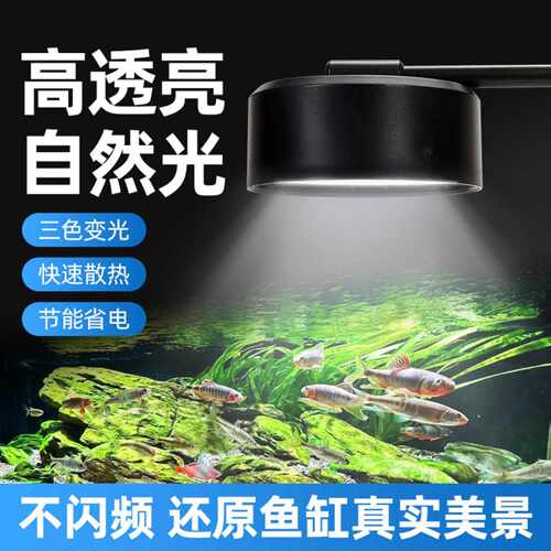 鱼缸灯led筒灯原生溪流缸全光谱