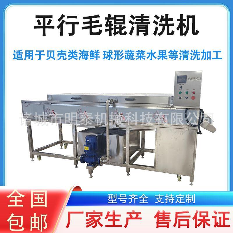 香水柠檬平行毛辊清洗机红薯加工设备设备海蛎子海螺去杂分选机