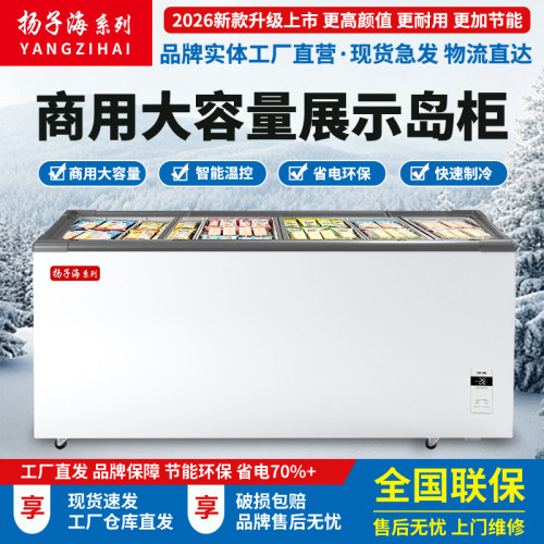 扬子海冰柜商用大容量卧式岛柜展示柜冷藏冷冻透明玻璃超市保鲜柜 - 封面