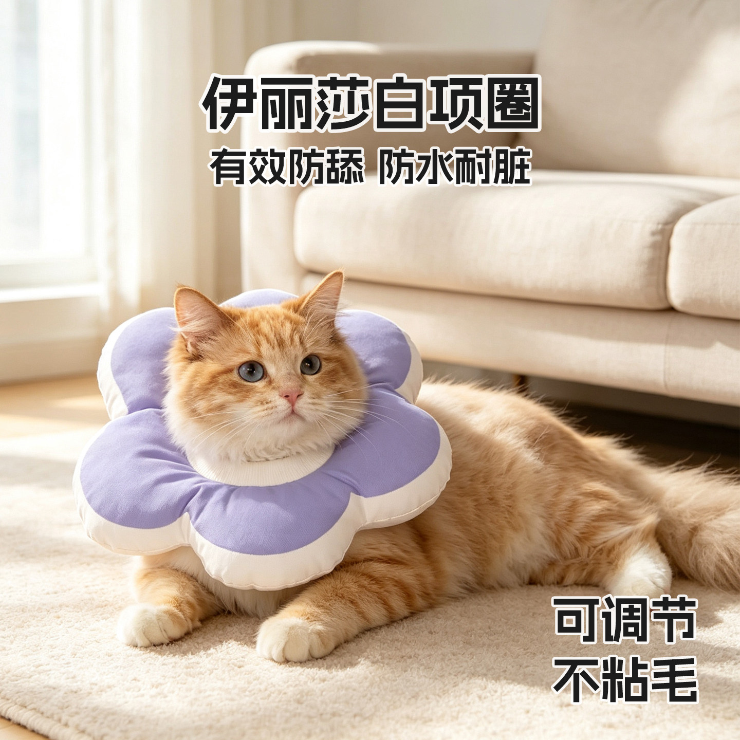 伊丽莎白圈猫咪软圈防舔宠物术后