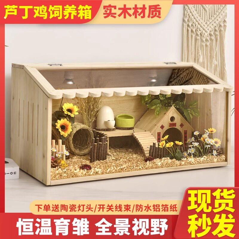 箱子鸡窝芦丁鸡饲养箱恒温带透气观赏保温箱塑料屋子用品雏鸡宠物