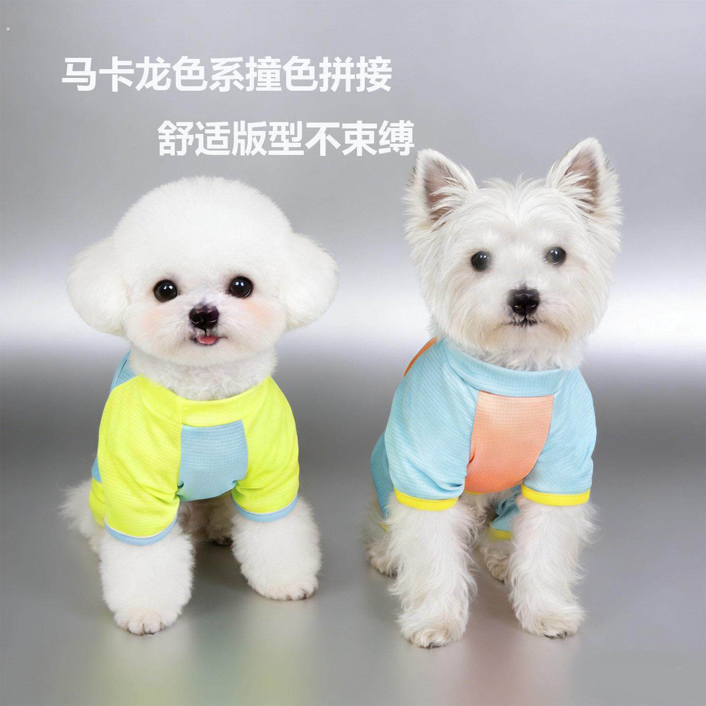 2026狗狗衣服小型犬薄款春夏酷帅防脏宠物中型犬漂亮泰迪四脚博美