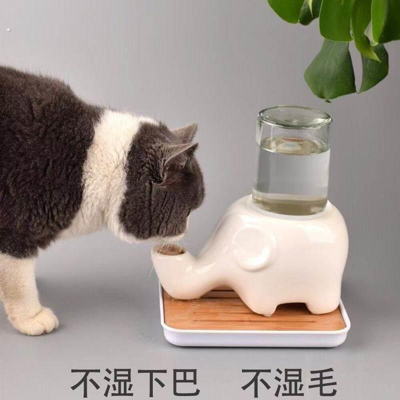 自动大象饮水器不湿下巴胡子陶瓷扁脸长毛加菲猫咪兔防打翻水碗