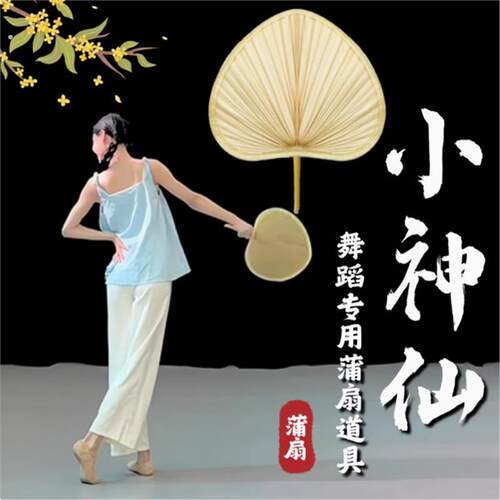 蒲扇摇过的夏天舞蹈道具小神仙舞蹈扇子小荷风采一荤一素夜泊秦淮