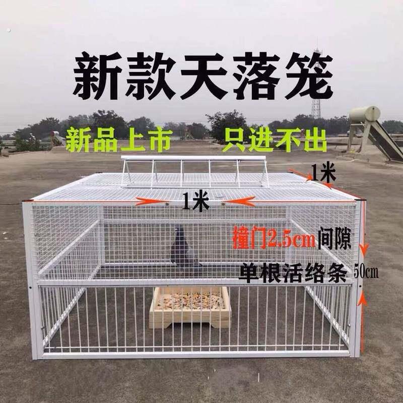 鸽子诱捕器天落笼祇进不出鸽子笼加密收鸽笼活络门户外自动收鸽器