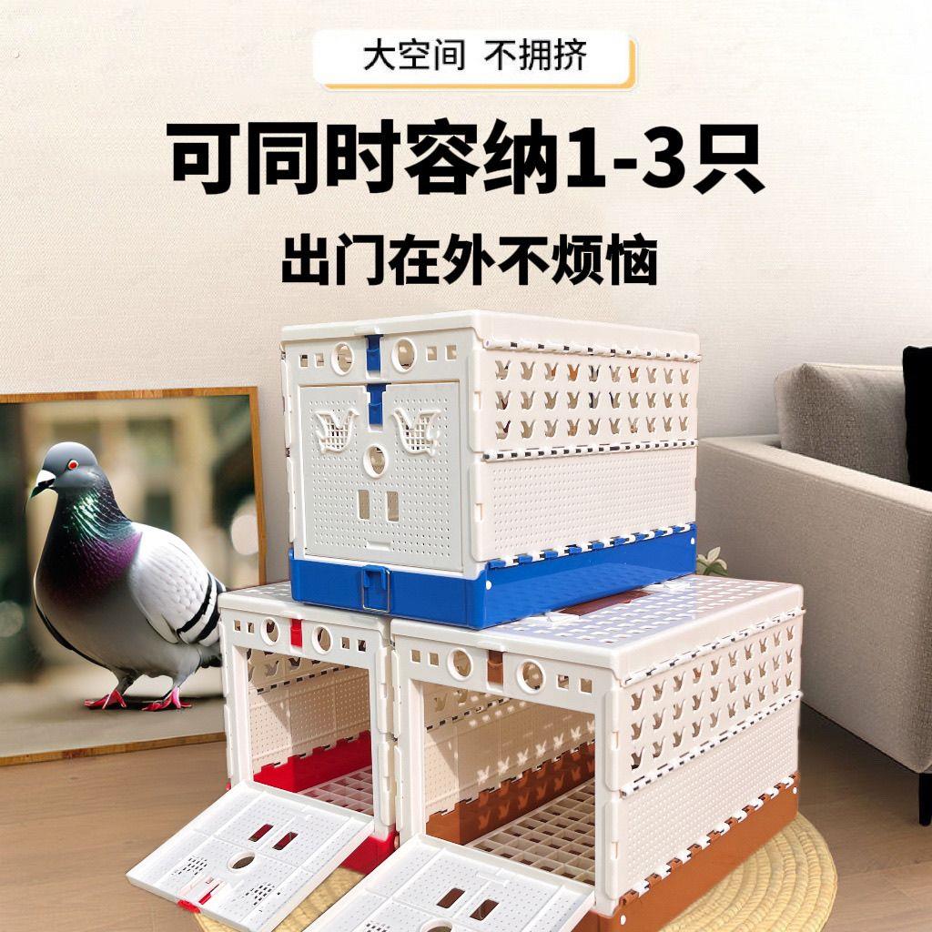 鸽子报道放飞训放笼折叠笼训鸽子笼比赛信鸽鸽具用品可携式鸽笼