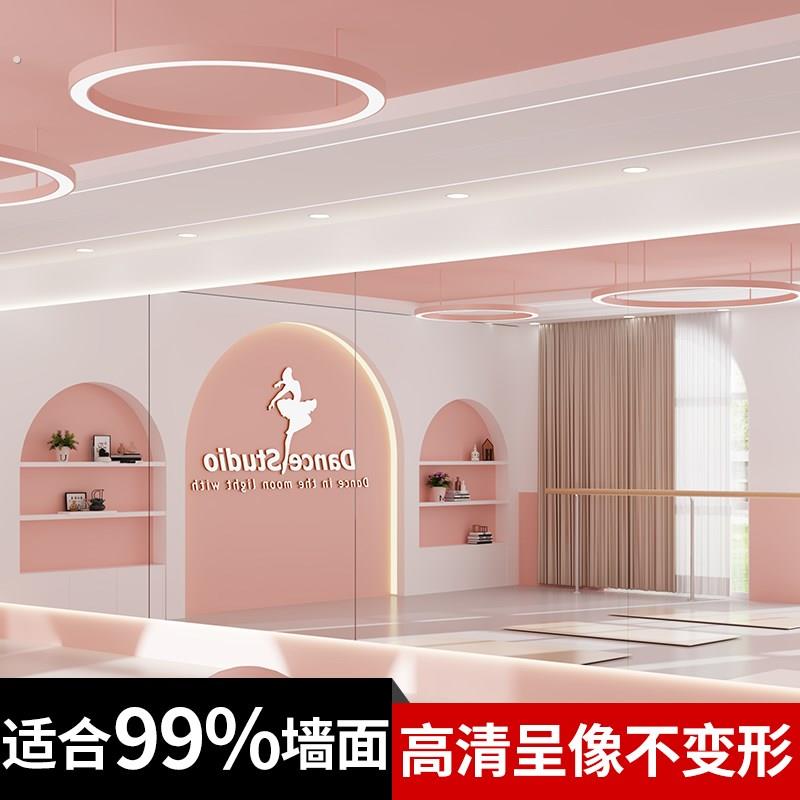 家用舞蹈室专用镜教室跳舞镜健身房镜瑜伽镜练舞贴墙式大全身镜子