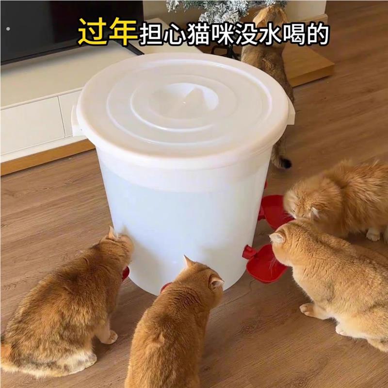 猫咪新款饮水机饮水器猫猫宠物水碗自动大容量加水喝水狗狗神器