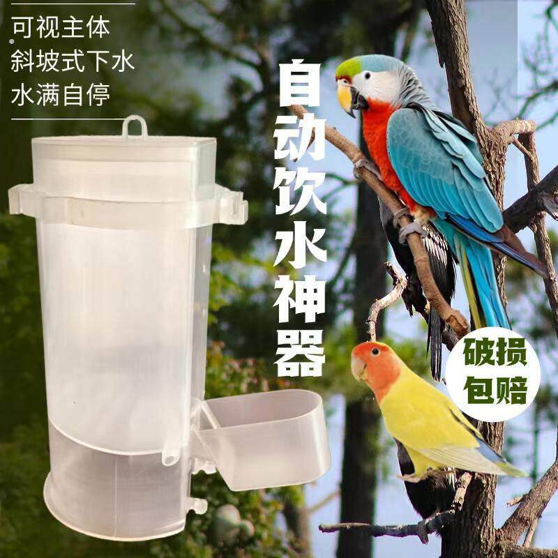 新款鸟用饮水器鸽子八哥鹦鹉自动喂水壶鸽子用用具芦丁鸡喂水杯