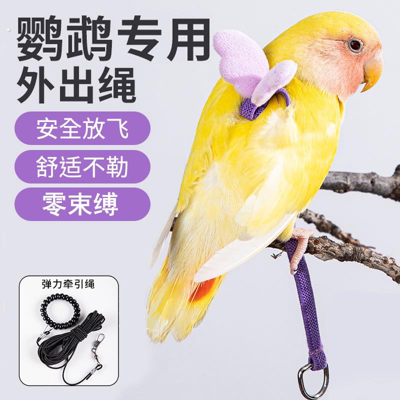 鹦鹉牵引绳超轻不勒外出抱婴袋训练溜鹦鹉鸟神器虎皮牡丹玄凤放飞