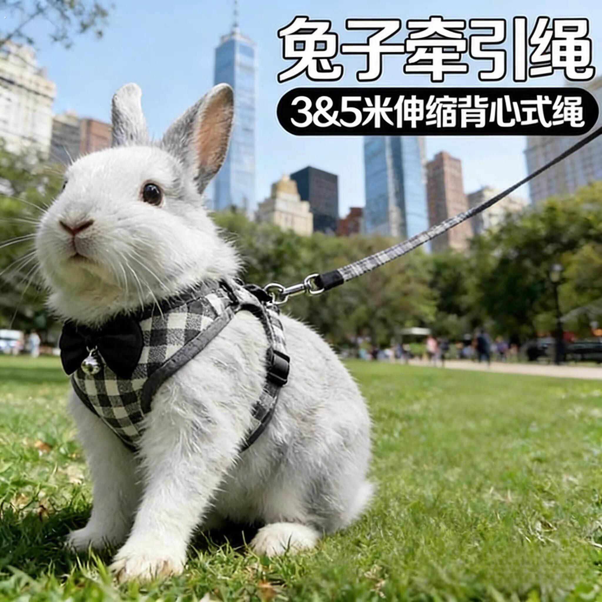 兔子衣服牵引绳外出专用溜兔兔防挣脱遛宠物兔神器可调节拴侏儒兔