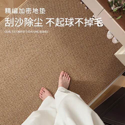 彷剑麻入户门地垫门口地毯入户门垫进门脚垫家用可裁剪定制免洗