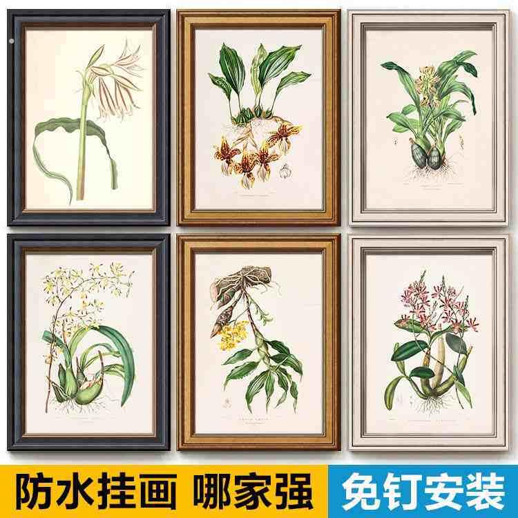 现代简约小清新植物客厅餐厅走廊浴室厕所卫生间墙壁防水装饰挂画