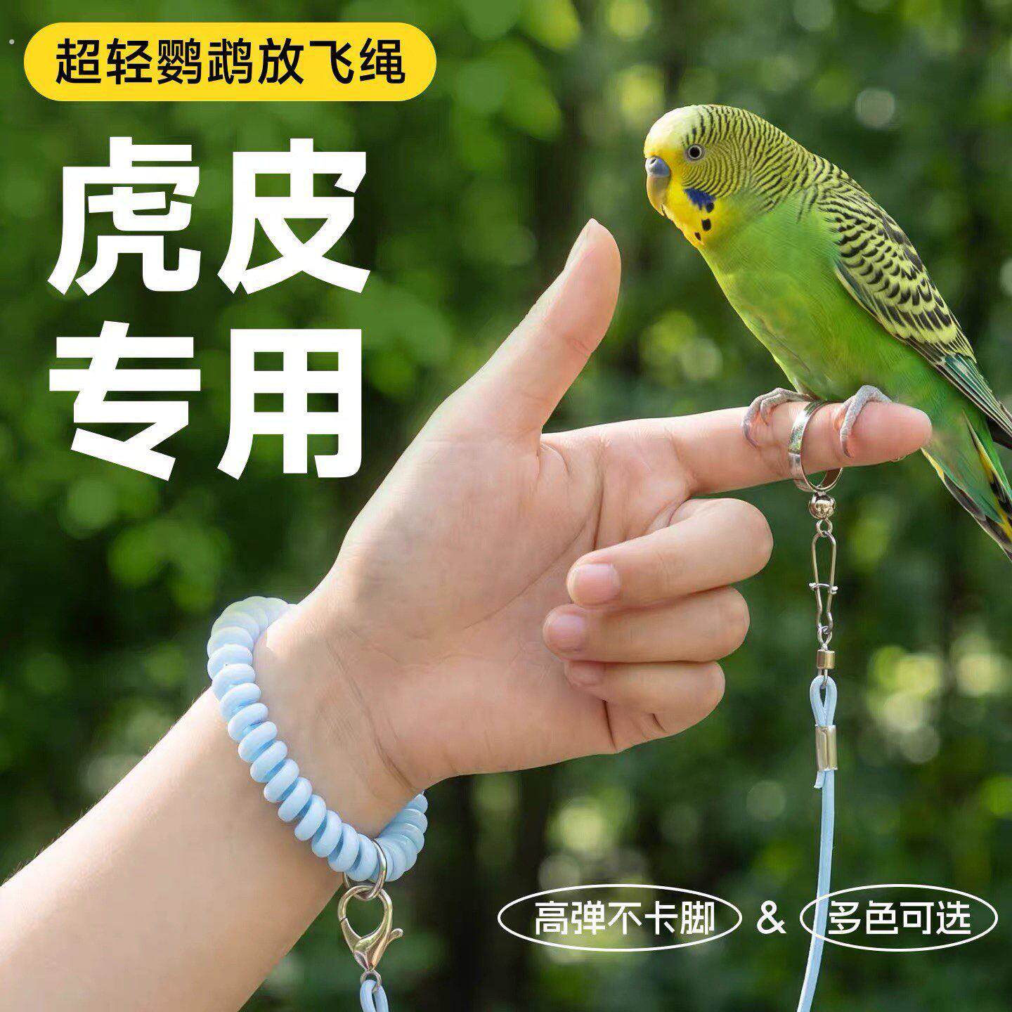 虎皮鹦鹉放飞绳不伤脚脚环牵引绳遛鸟神器小鸟超轻牵鸟弹力绳脚炼