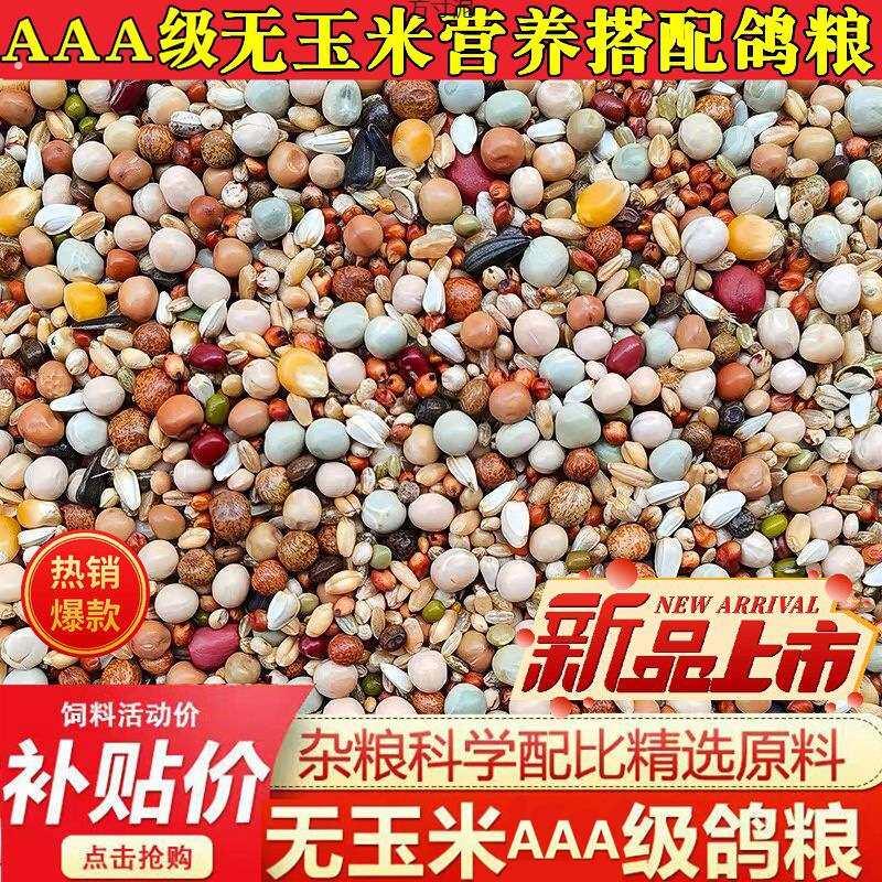 鸽粮高赛鸽信鸽子喂食物小鸽子粮食幼鸽便宜玉米通用型水洗鸽粮厂