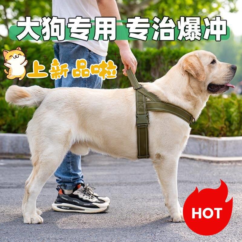 大狗牵引绳防冲爆溜狗胸背带大型犬专用狗链战术马甲遛狗绳东德牧
