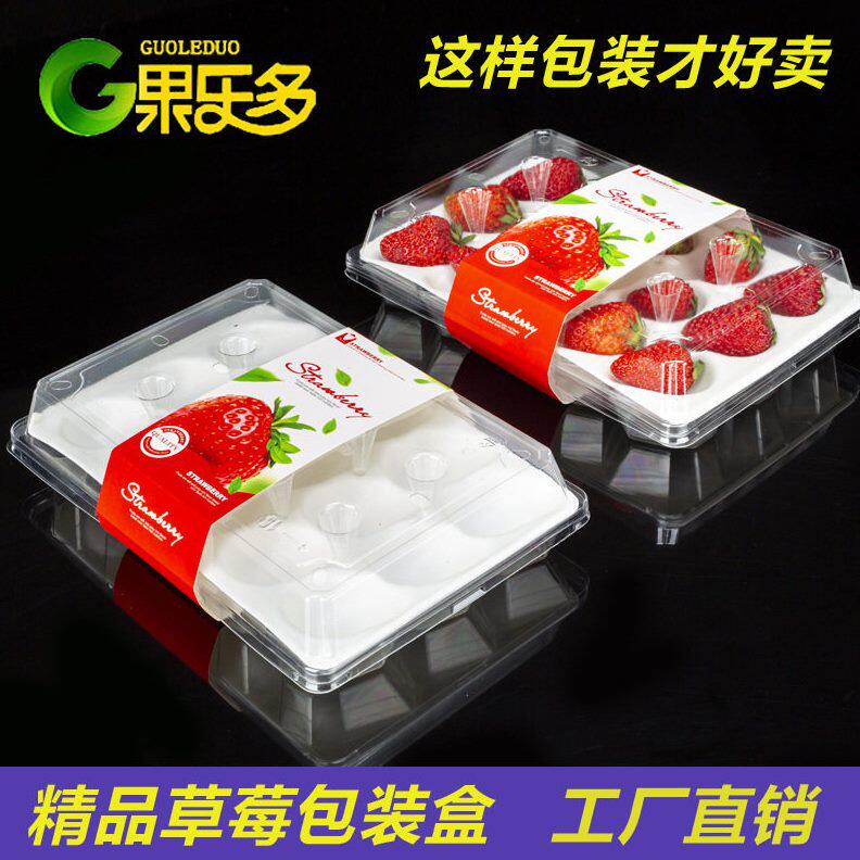 甄选果乐多一次性草莓包装盒档15粒泡沫内托网红透明塑料水果打包