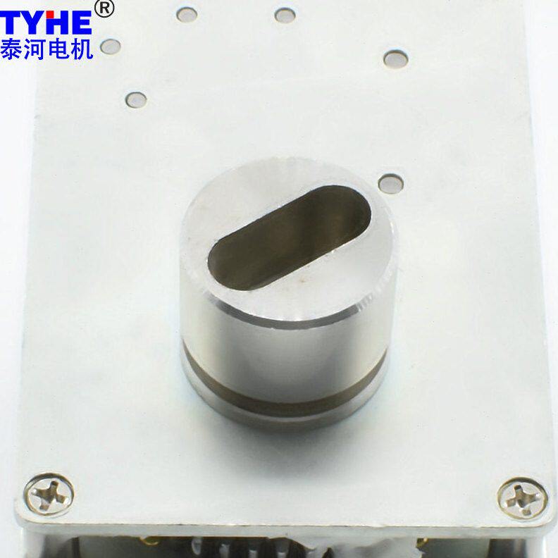 甄选泰河农业灌溉双通阀门电机智能马达3.7V2W低速低功耗直流速电