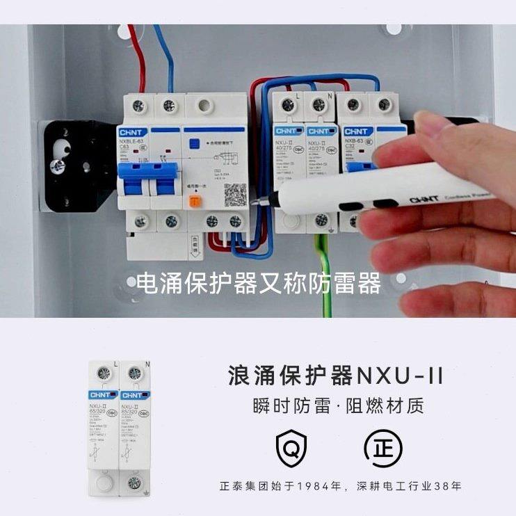 甄选正泰浪涌保护器NXU-IIG家用2P 4P空开电源防雷击防电涌40kA防