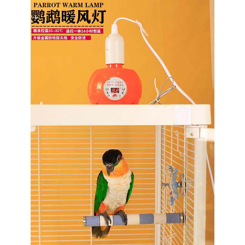 温控鹦鹉用保温灯宠物取暖器智能恒温加热暖风机取暖灯保温箱配件