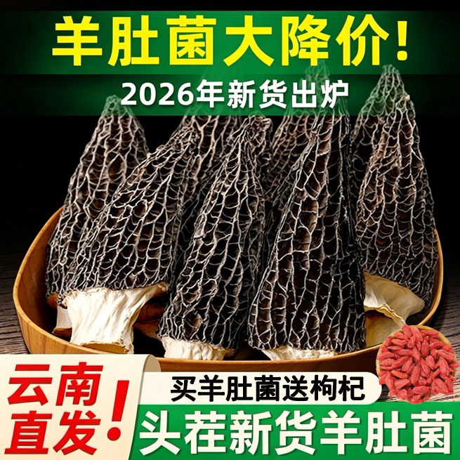 云南特级羊肚菌煲汤食材滋补养生