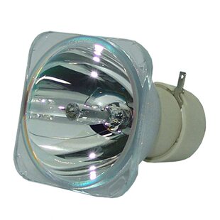 甄选正品投影机灯泡SP-LAMP-049适用于富可视投影机