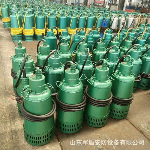 甄选BQS矿用隔爆型潜水排沙电泵 煤矿立井排污泥浆泵 连续式1140v